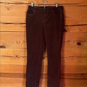 Talbots Dark Brown Women's Skinny Jeans